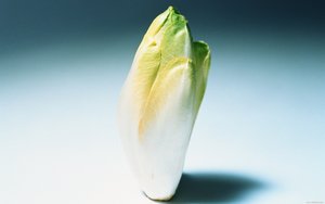模型管理